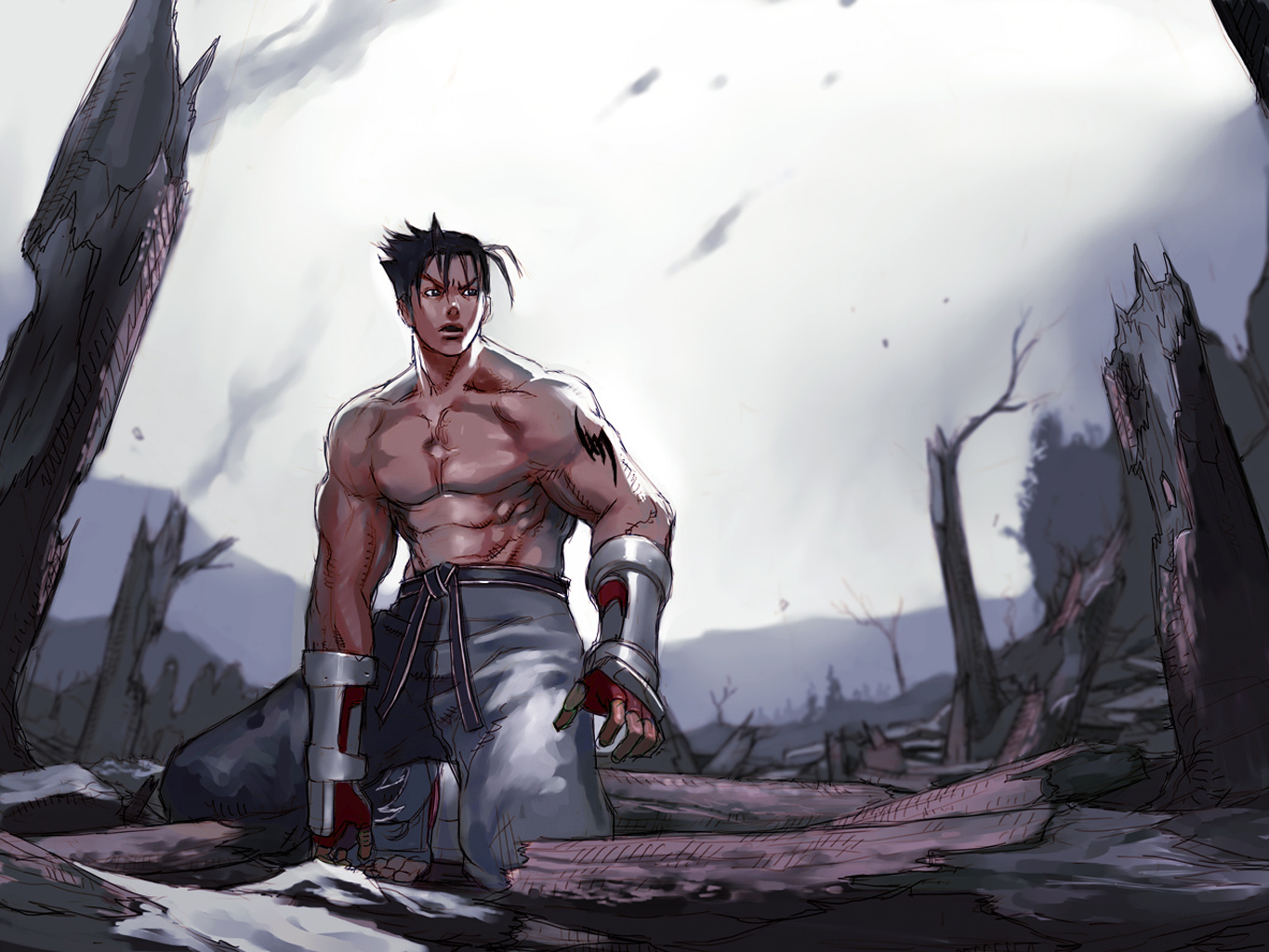 Jin Kazama Tekken 4 Art - HD Wallpaper 