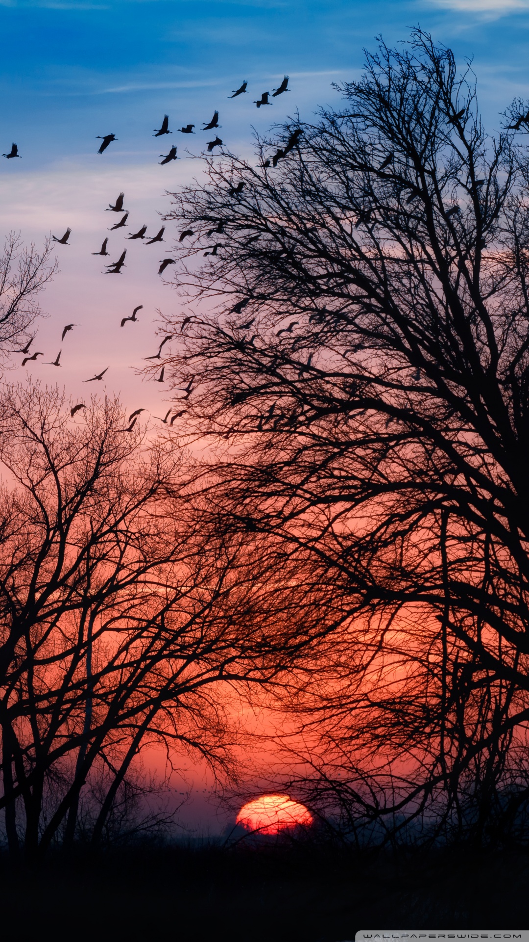 Beautiful Sunrise Scenery 1080x19 Wallpaper Teahub Io Beautiful Sunrise Scenery 1080x19 Wallpaper Teahub Io