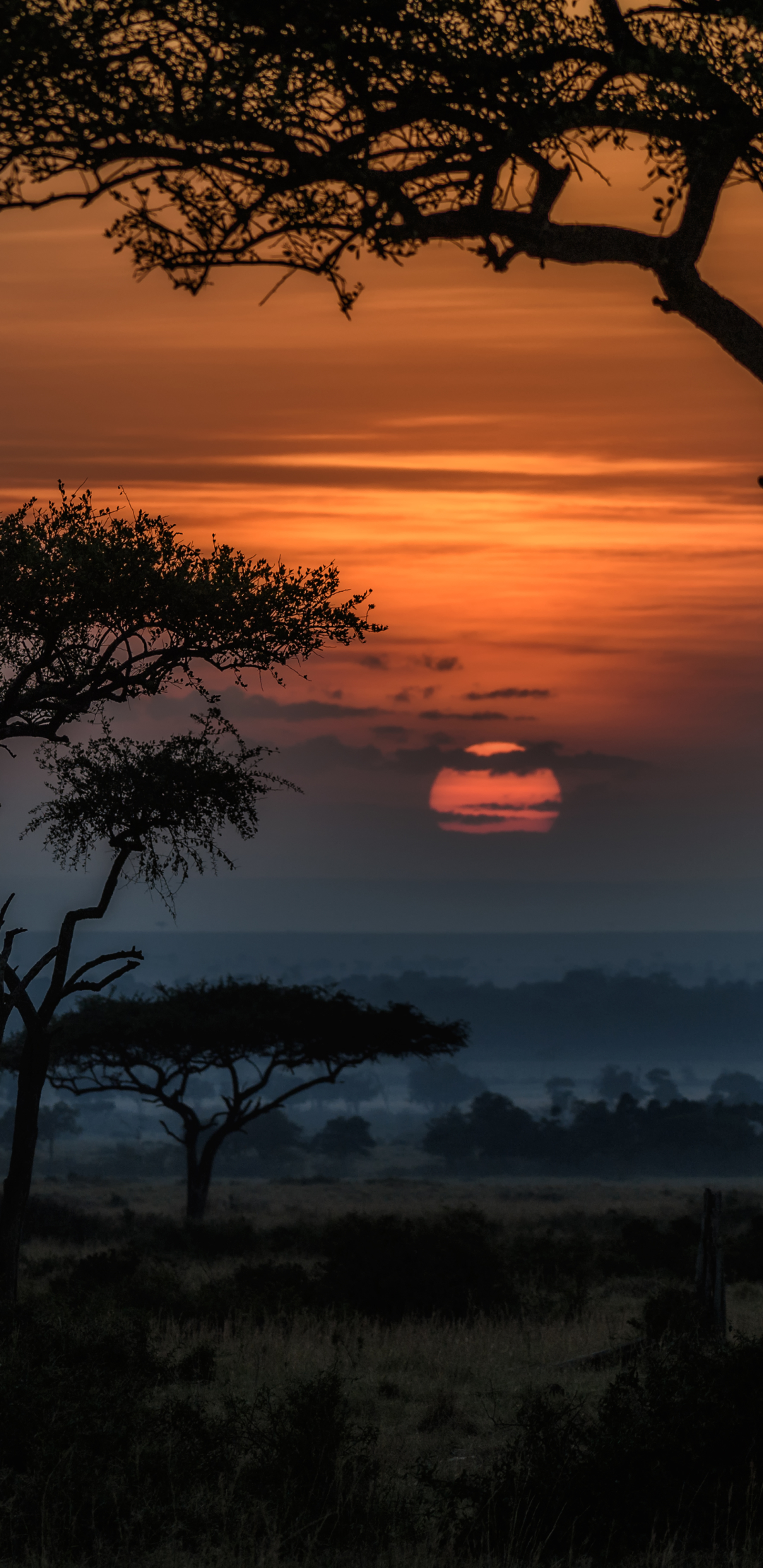 Sunrise In Africa - HD Wallpaper 