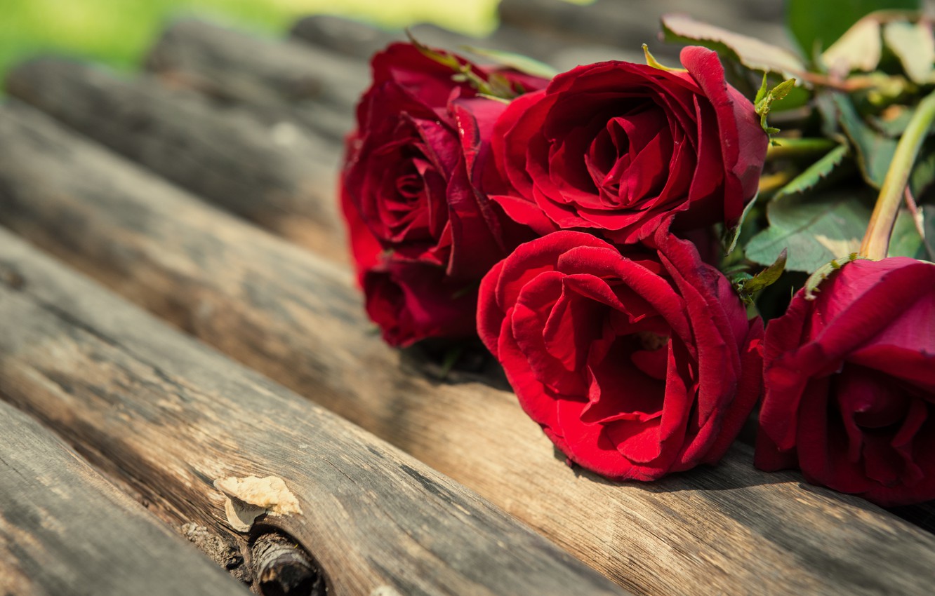 Photo Wallpaper Bouquet, Red, Wood, Romantic, Roses, - Flowers Romance - HD Wallpaper 