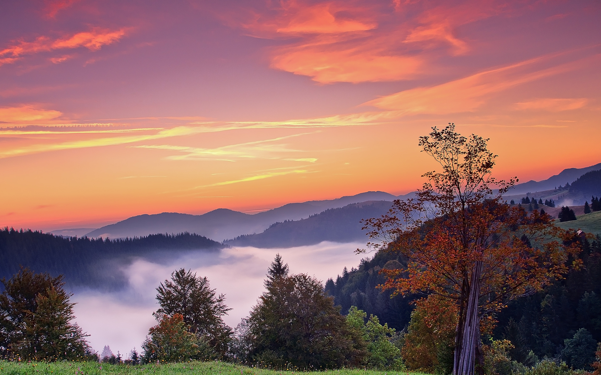 Sunset Mountains Trees - HD Wallpaper 