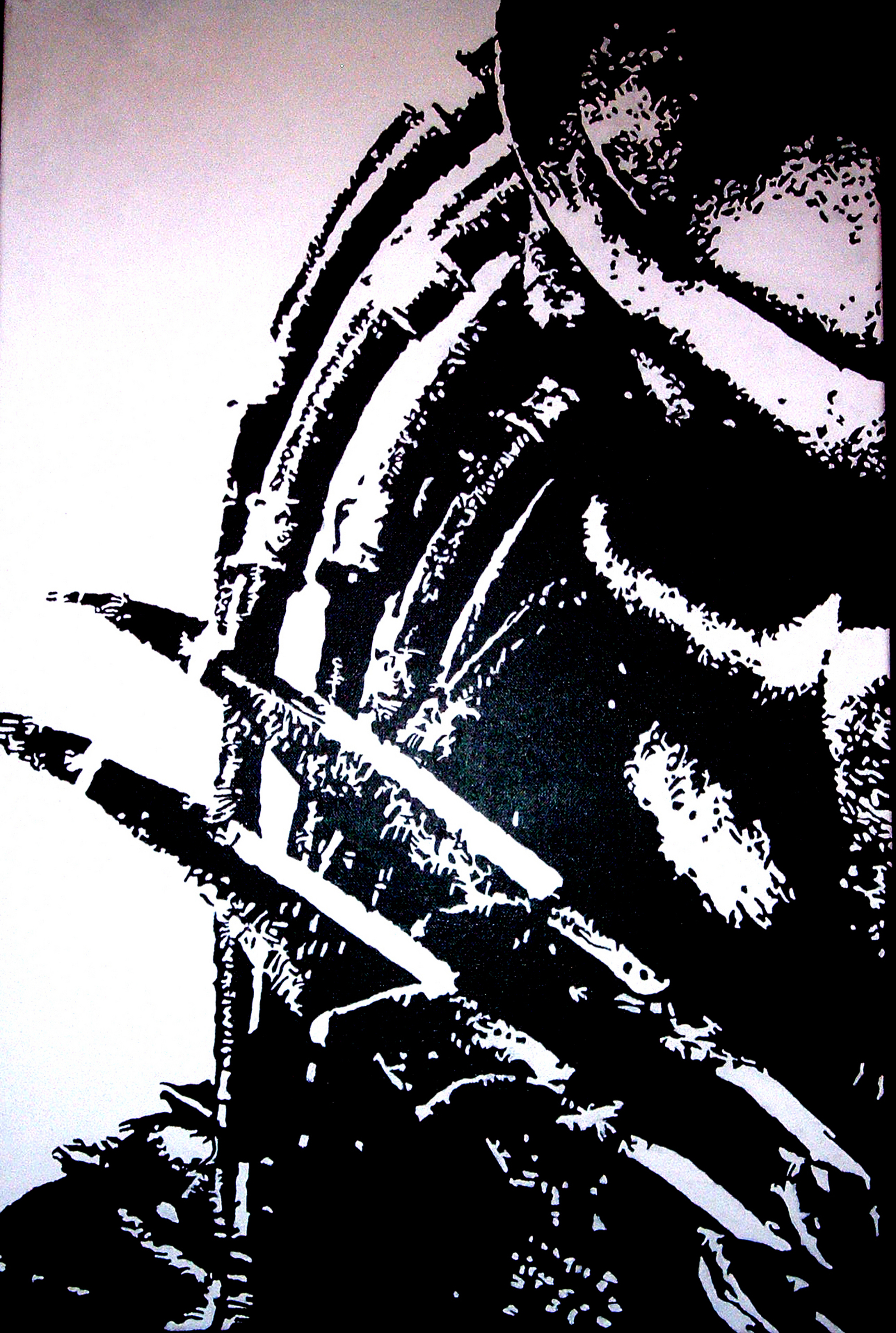 The Predator - Alien Vs Predator Wallpaper Iphone - HD Wallpaper 