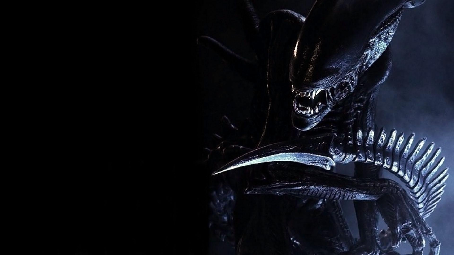 Alien Vs Predator Wallpaper - Alien Wallpaper Alien Vs Predator - HD Wallpaper 