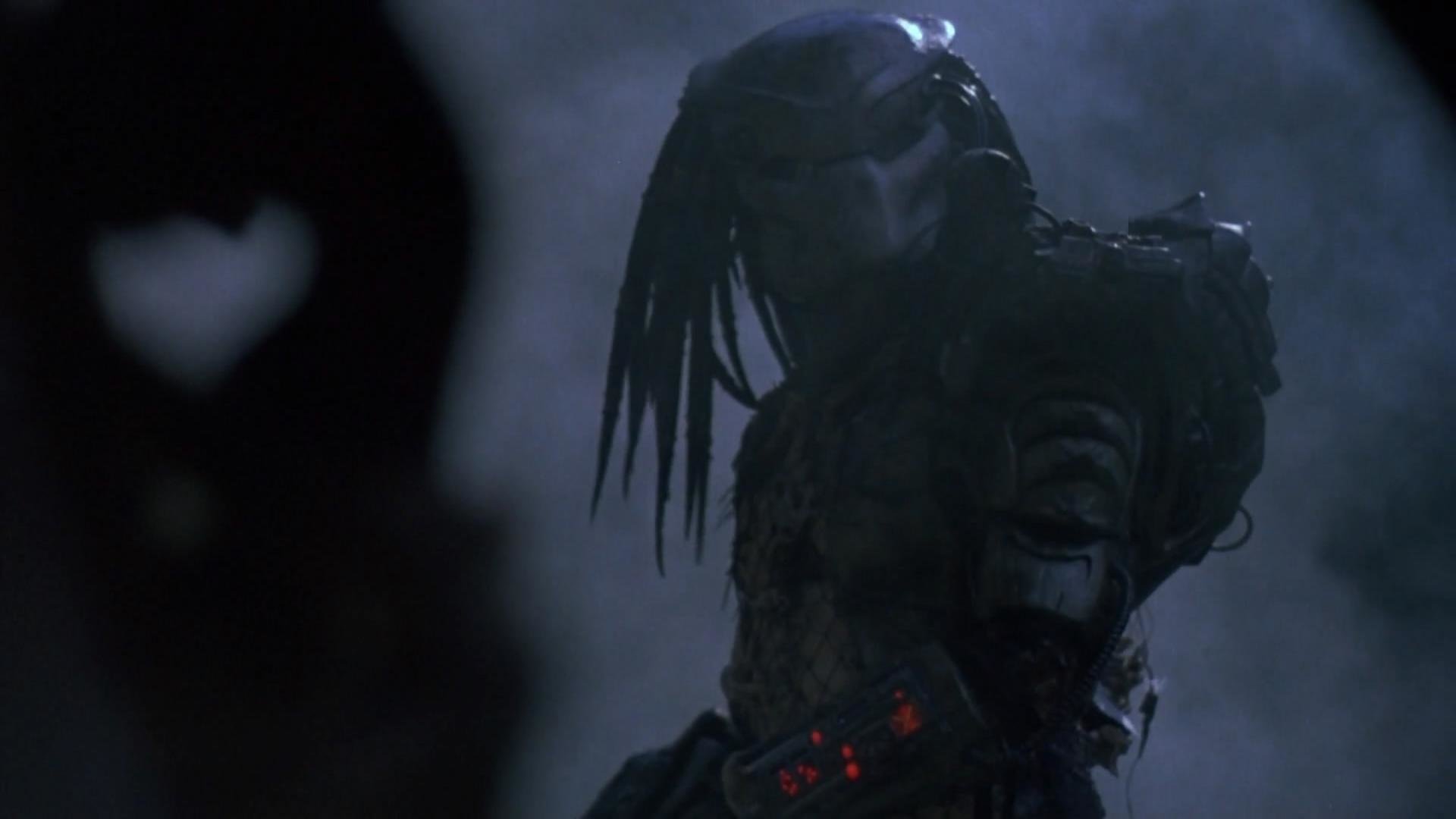 Best Predator Wallpaper Id - HD Wallpaper 