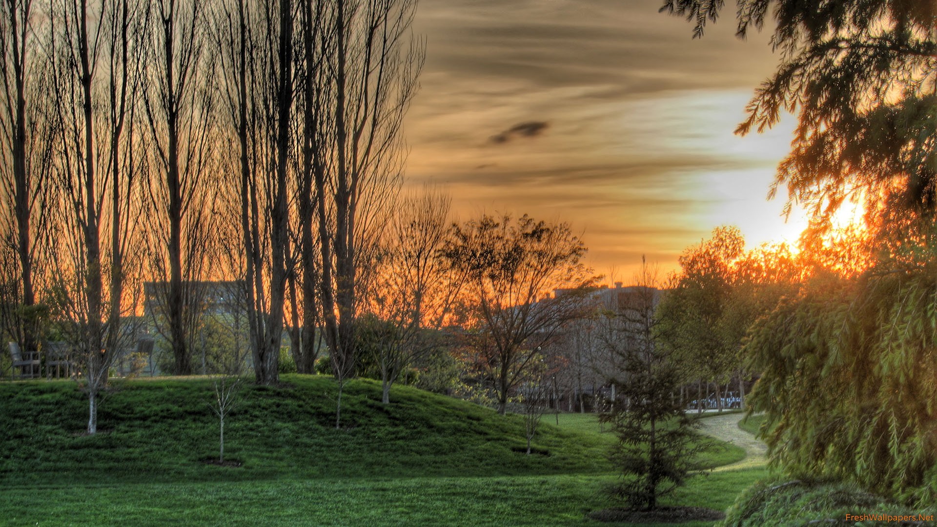 Sunrise Wallpaper 1920x1080 - HD Wallpaper 