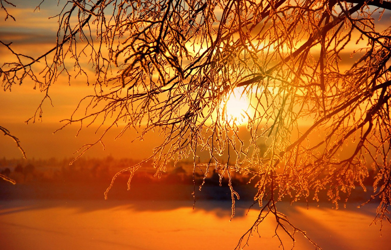 Photo Wallpaper Winter, The Sun, Sunset, Sunset, Winter, - Sunset - HD Wallpaper 