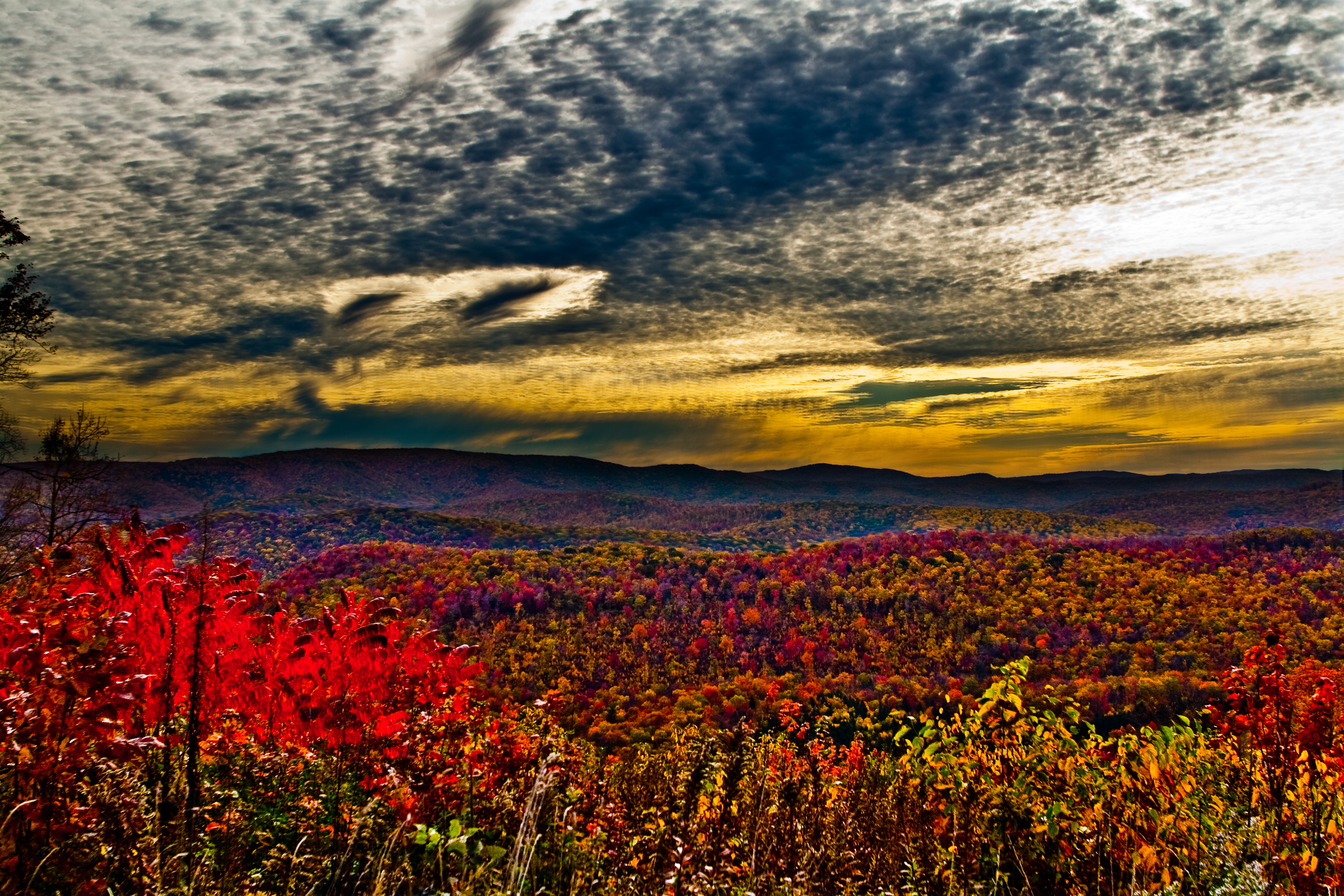 Wv Fall Foliage Mountain Sunrise - Autumn In The Appalachians - HD Wallpaper 