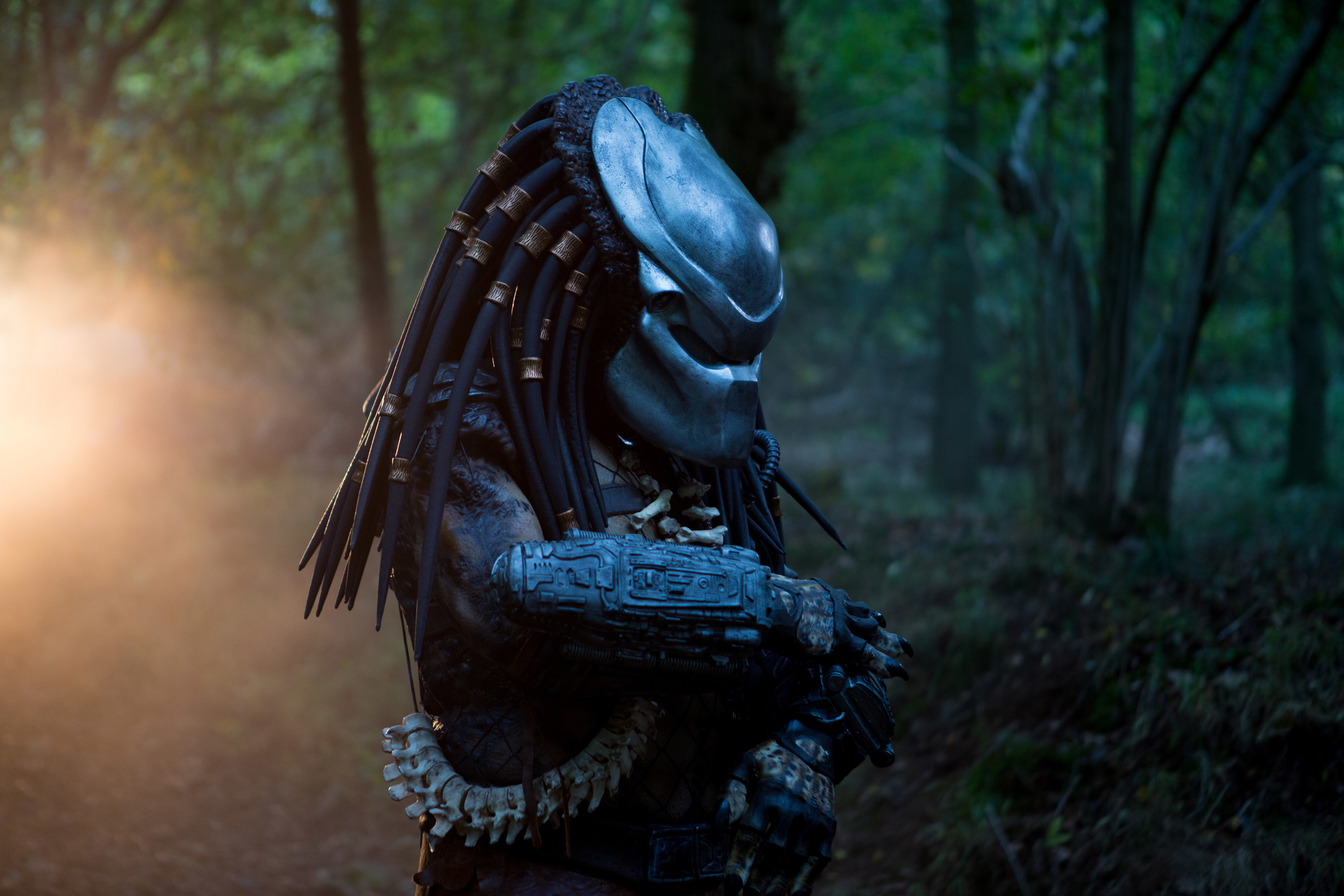 Alien In Forest Movie - HD Wallpaper 