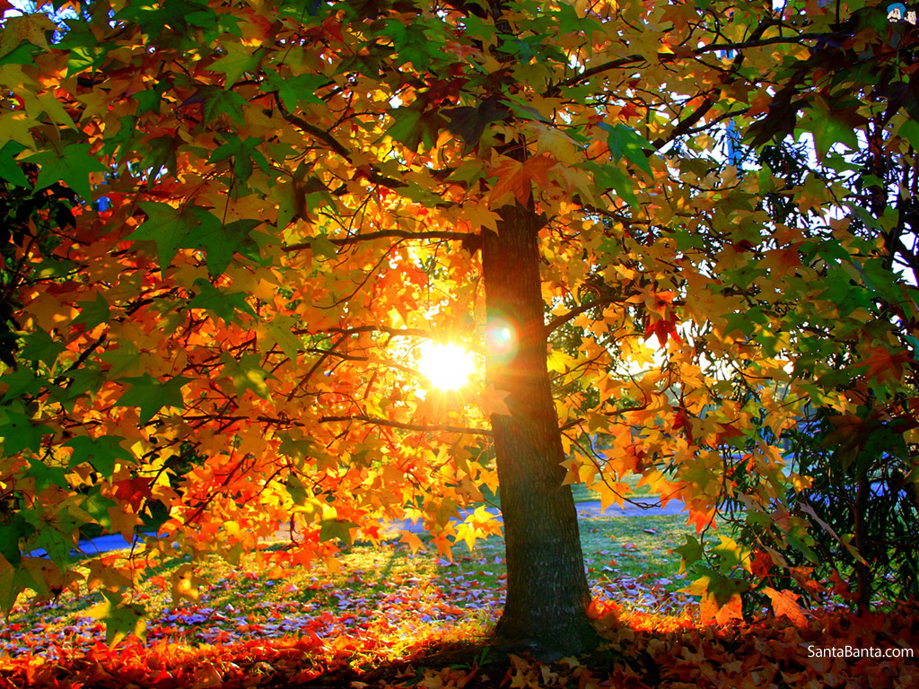 Sunrise - Sunrise Images Hd Download - HD Wallpaper 