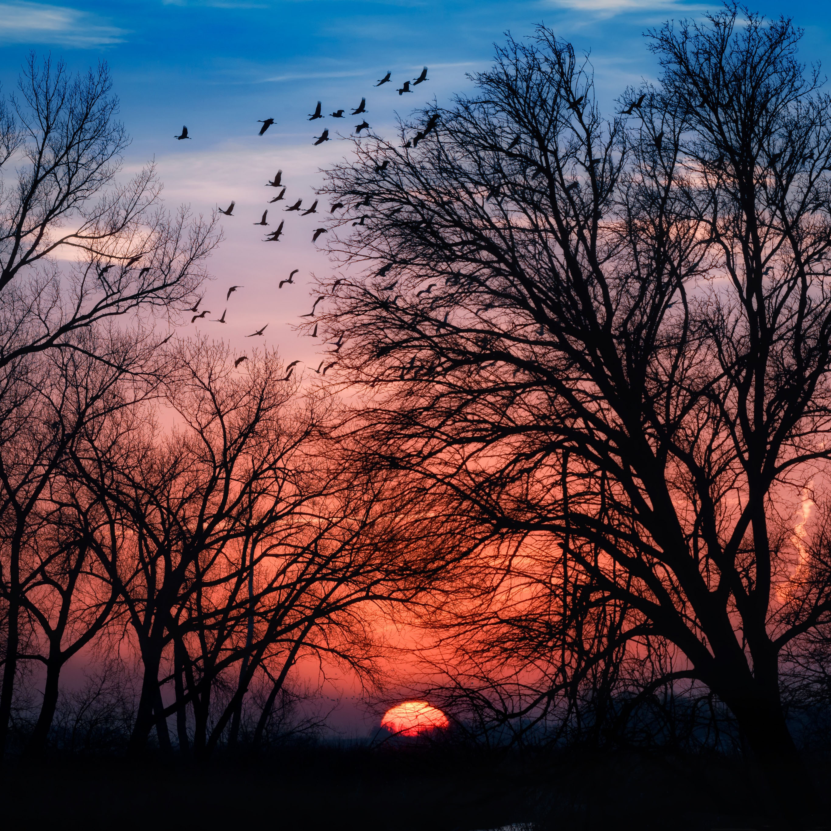 Beautiful Sunrise Wallpaper Iphone - HD Wallpaper 