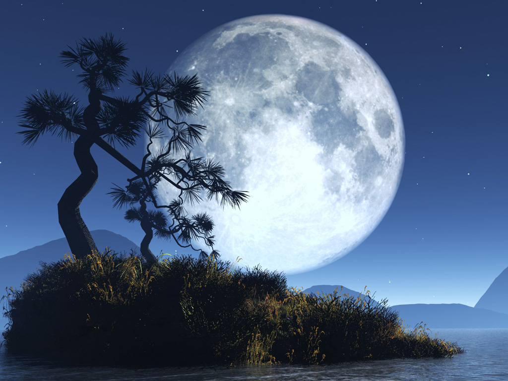 Moon Wallpaper Android Apps On Google Play - Paisaje De Una Luna Llena - HD Wallpaper 