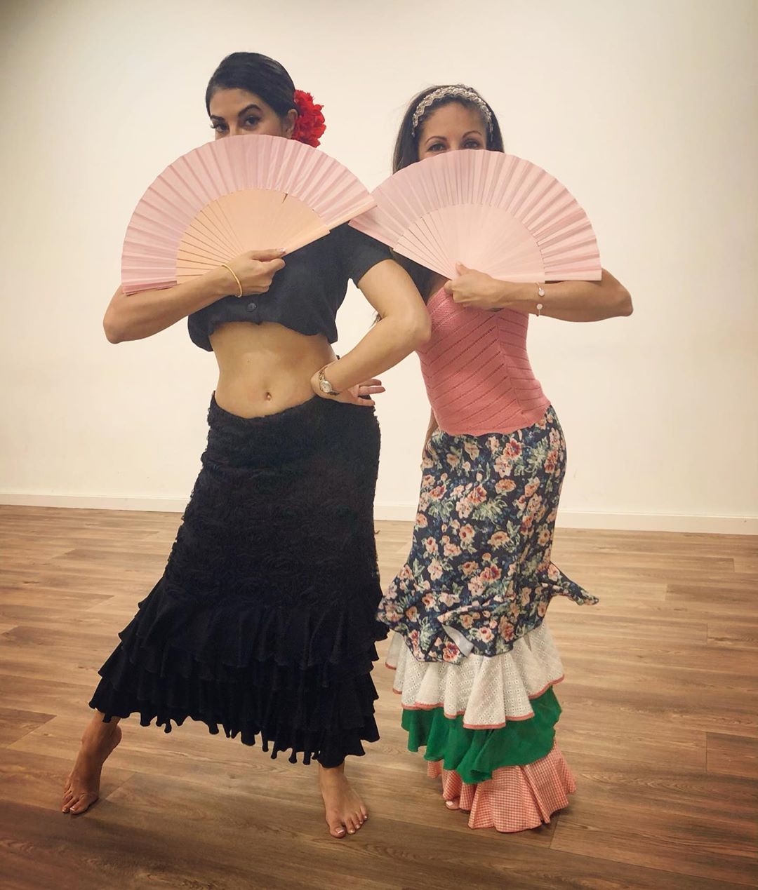 Jacqueline Fernandez Flamenco - HD Wallpaper 