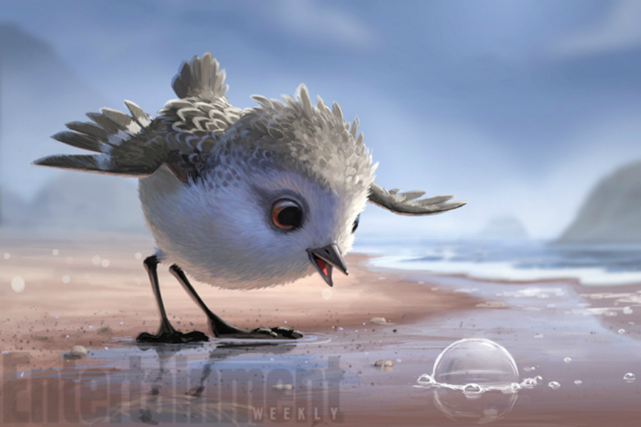 Piper Pixar - HD Wallpaper 