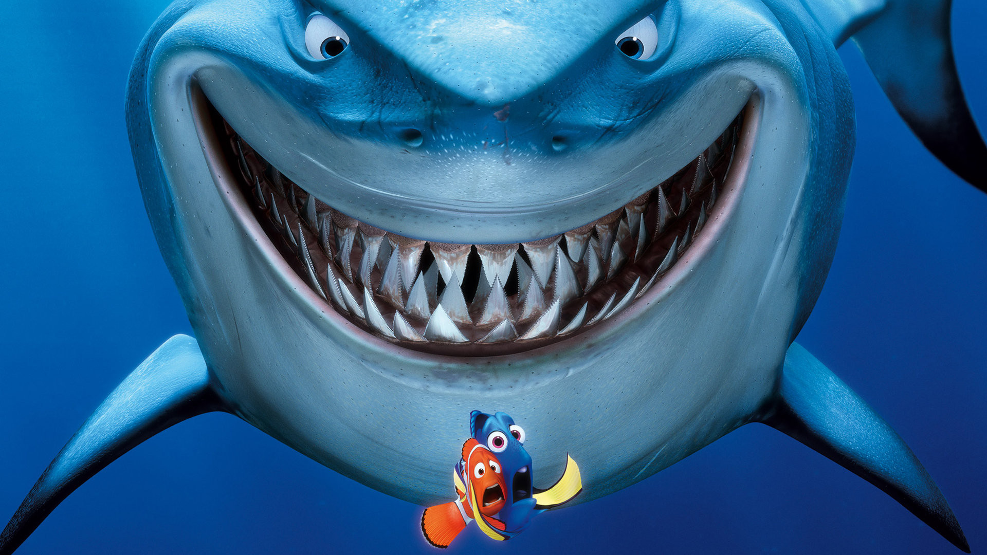 Finding Nemo Wallpaper - Finding Nemo Hd - HD Wallpaper 