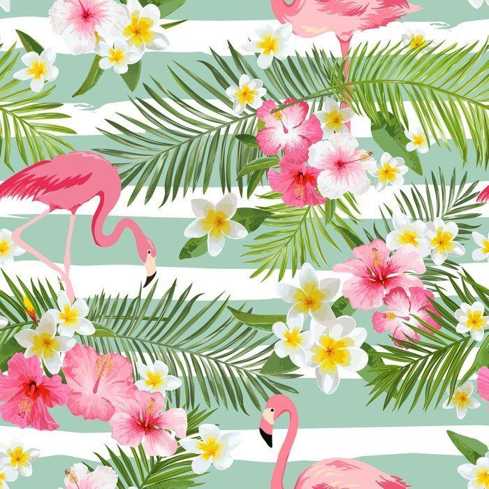 Flamingo Tropical Wallpaper Hd - HD Wallpaper 