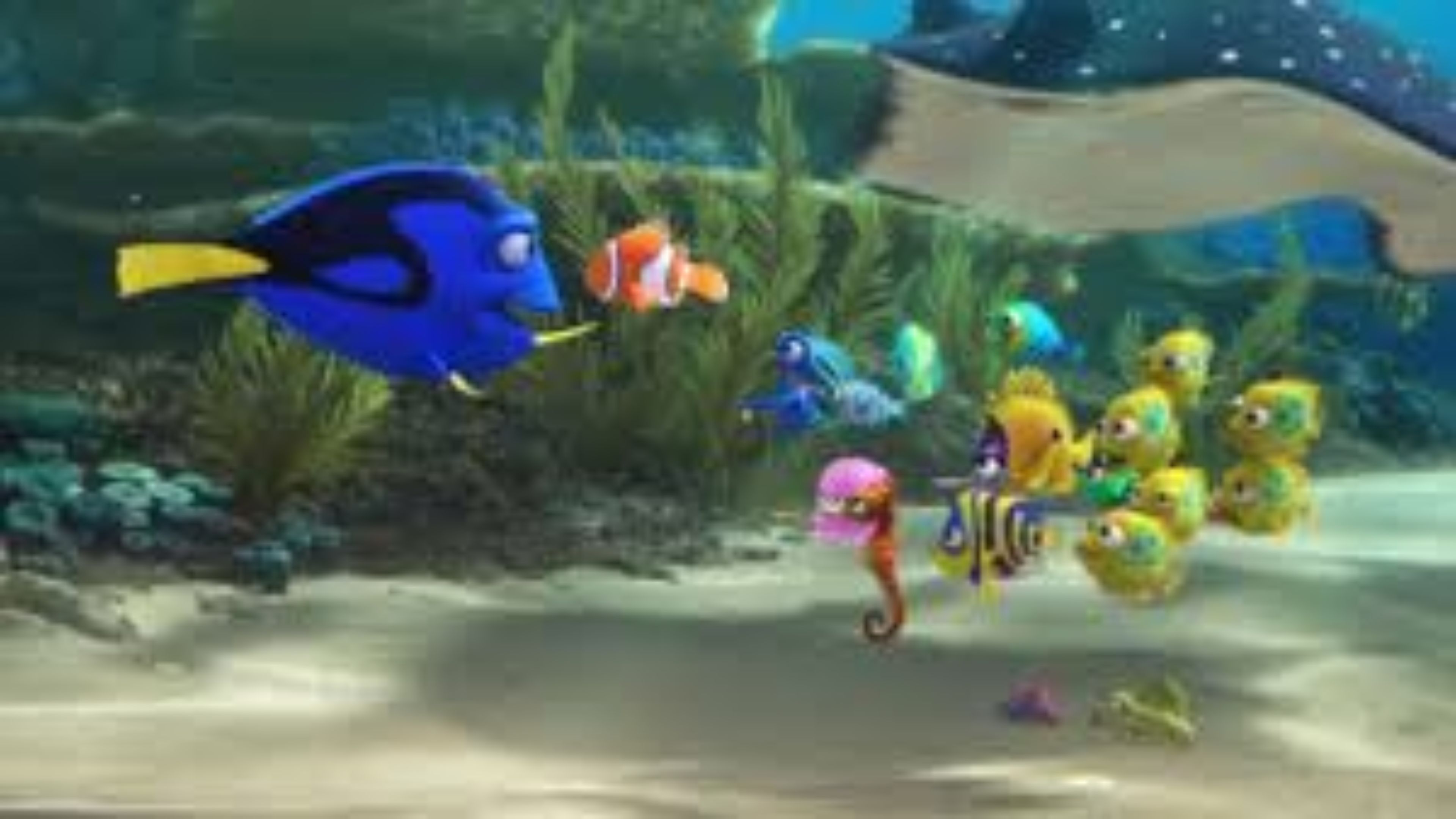 Fishes In Finding Dory - HD Wallpaper 