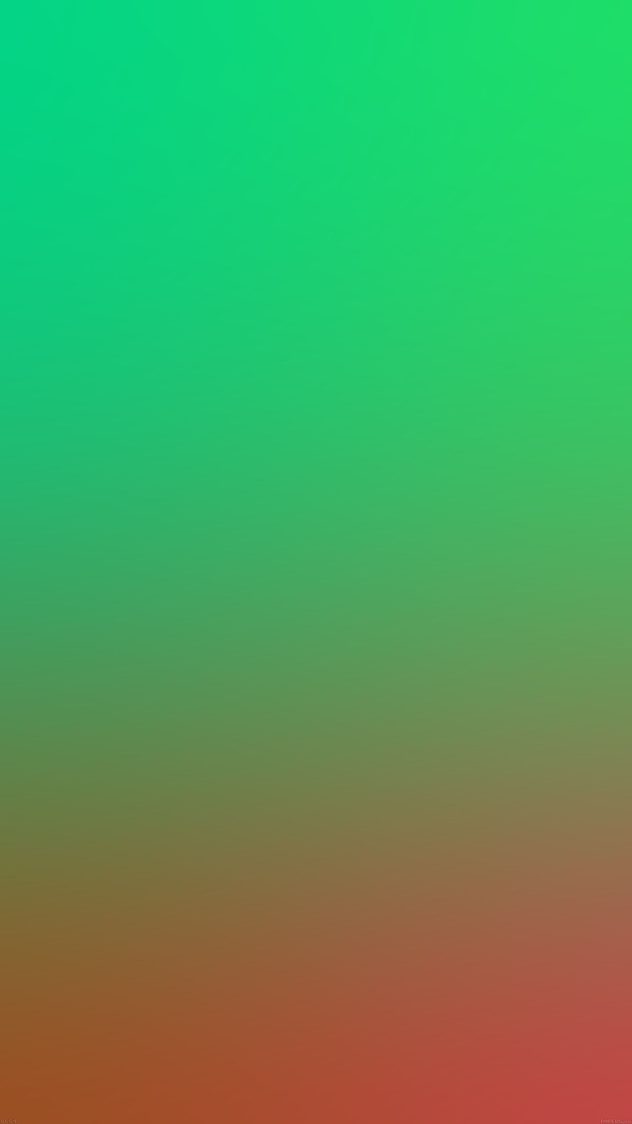 Sauce - HD Wallpaper 