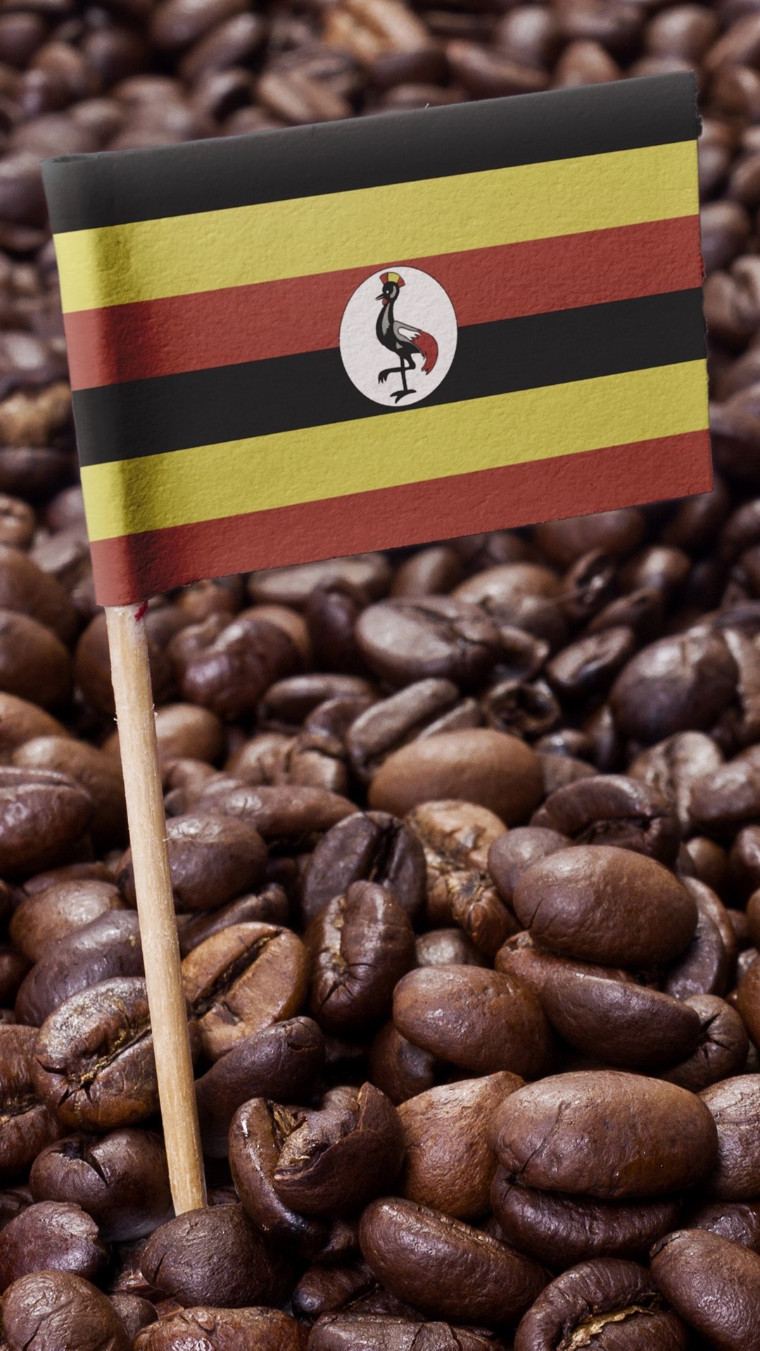 Iphone Wallpaper Coffee Beans, Flag - Costa Rican Coffee Beans - HD Wallpaper 