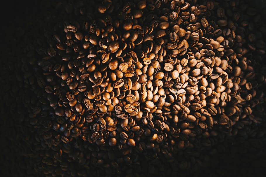 Plant, Produce, Food, Bean, Vegetable, Lentil, Puerto - Peter Mckinnon - HD Wallpaper 