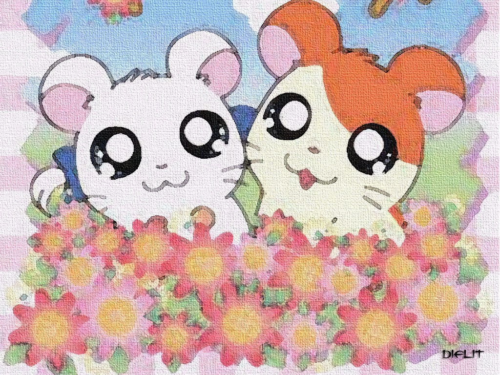 Hamtaro And Bijou - HD Wallpaper 