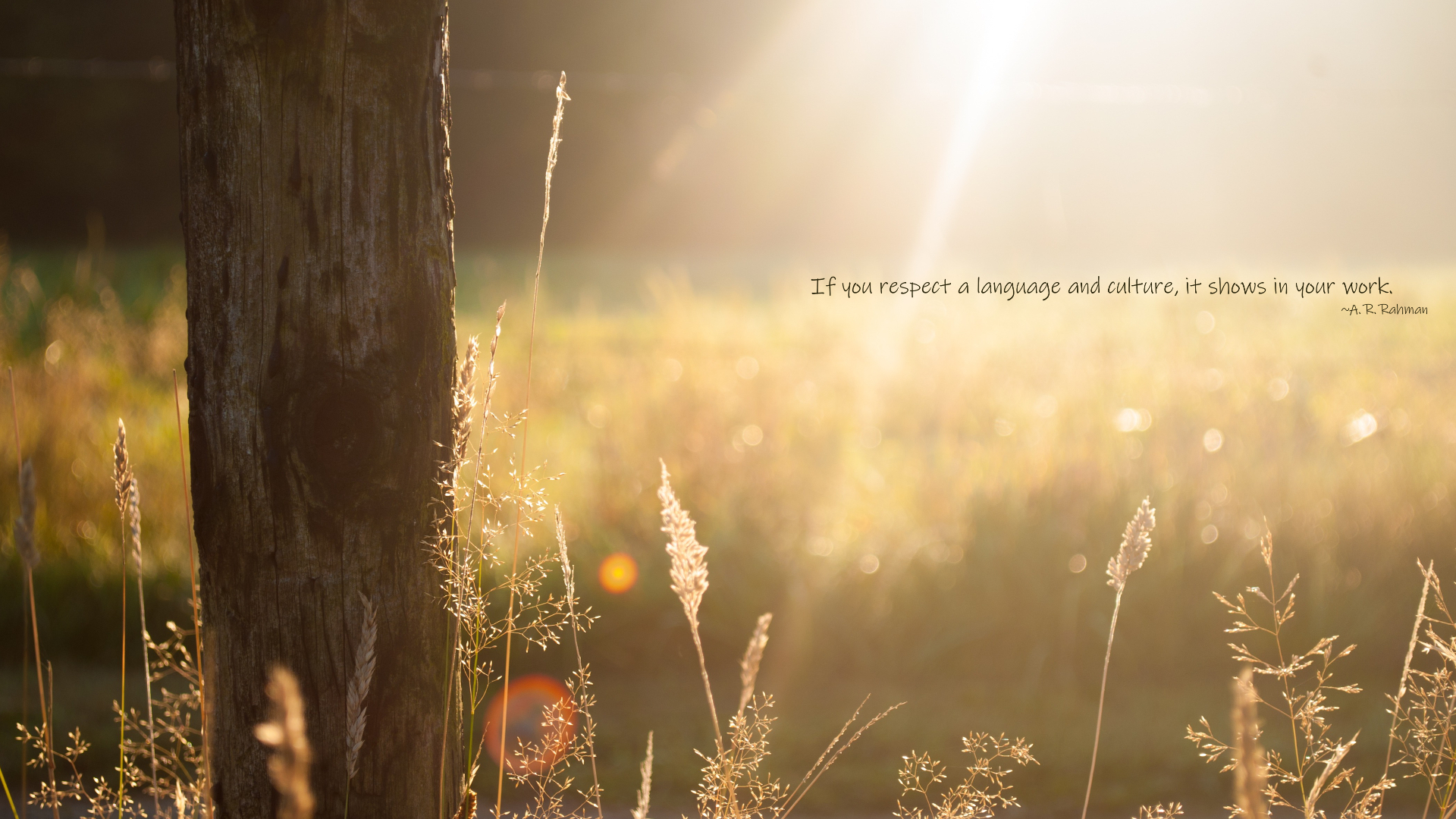 Girlington Community Centre - HD Wallpaper 