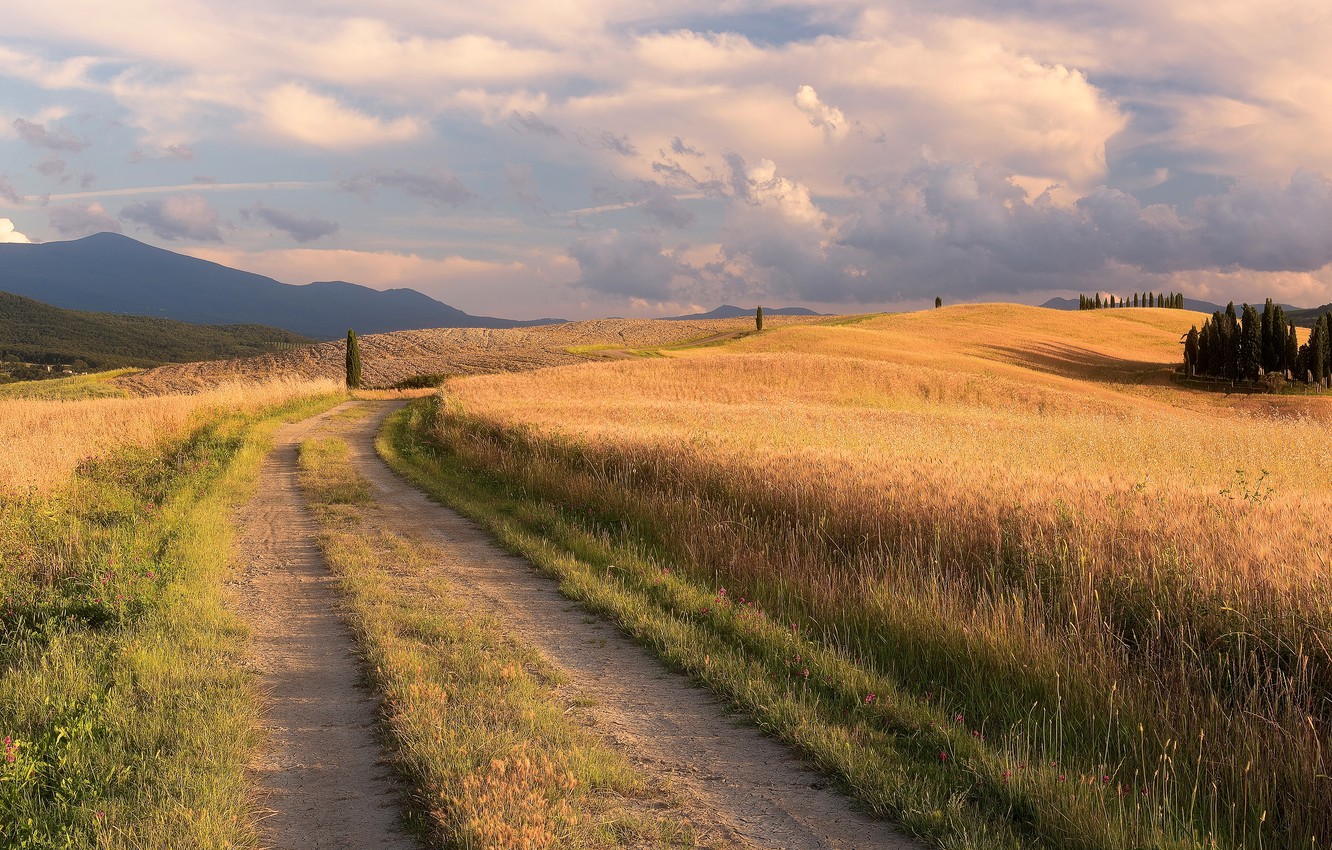 Photo Wallpaper Road, Field, Summer, Grass, Clouds, - Field Way - HD Wallpaper 