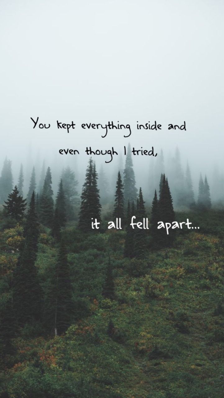 Spruce-fir Forest - HD Wallpaper 