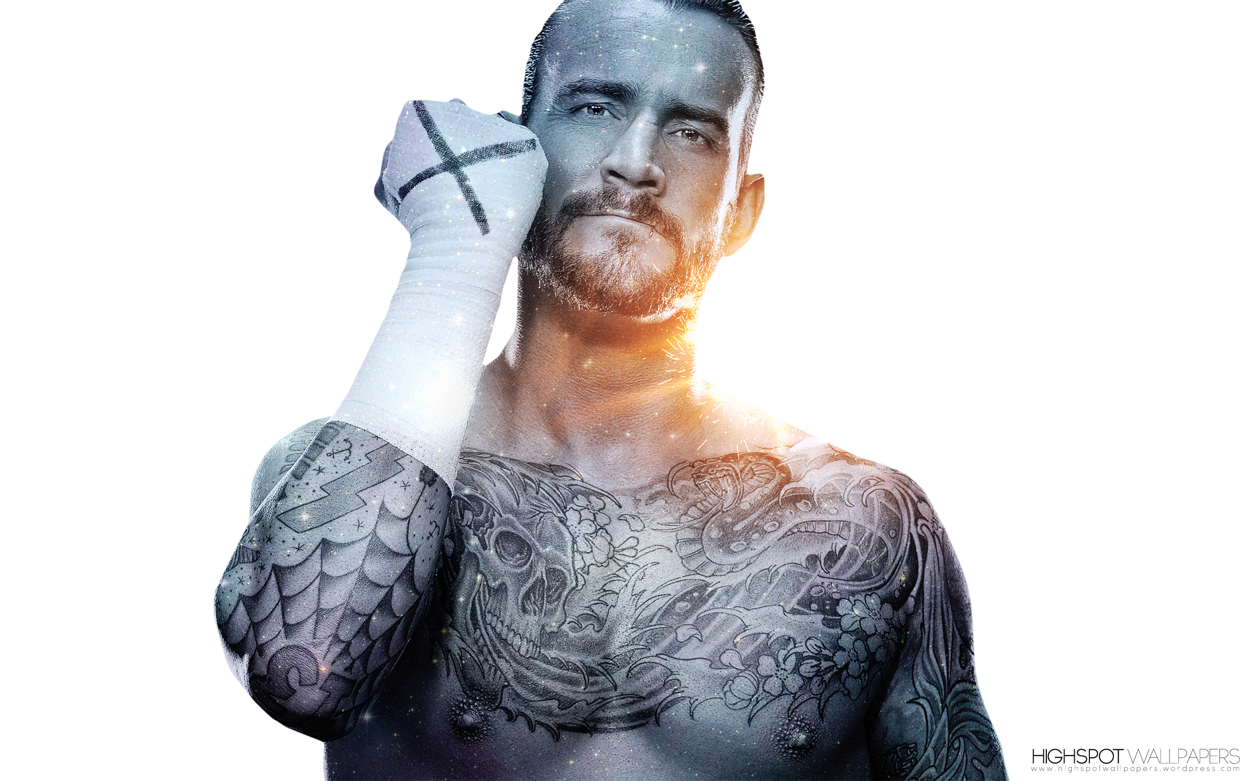 Wwe Cm Punk Summerslam - HD Wallpaper 
