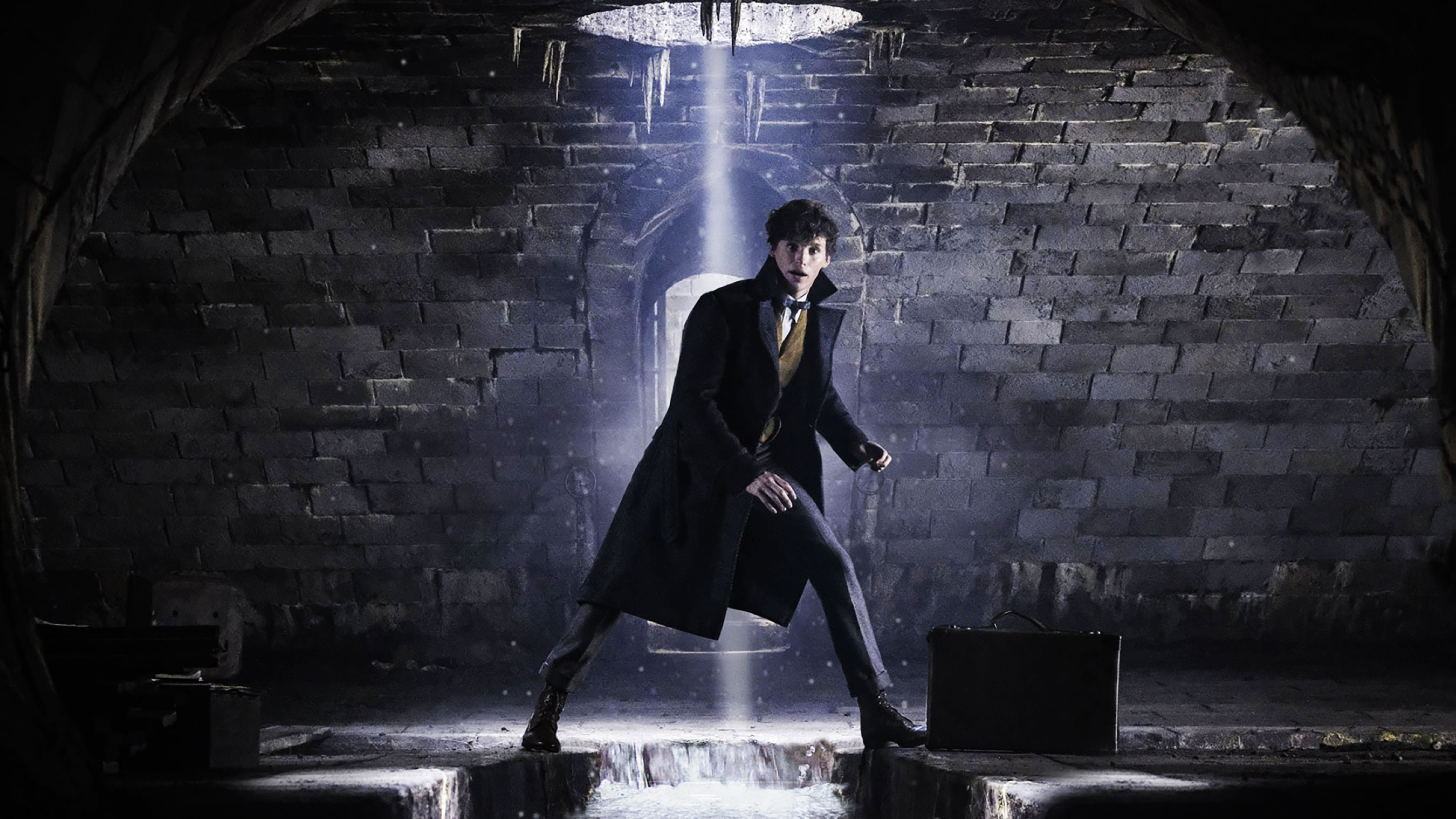 Fantastic Beasts Grindelwalds Crime - HD Wallpaper 