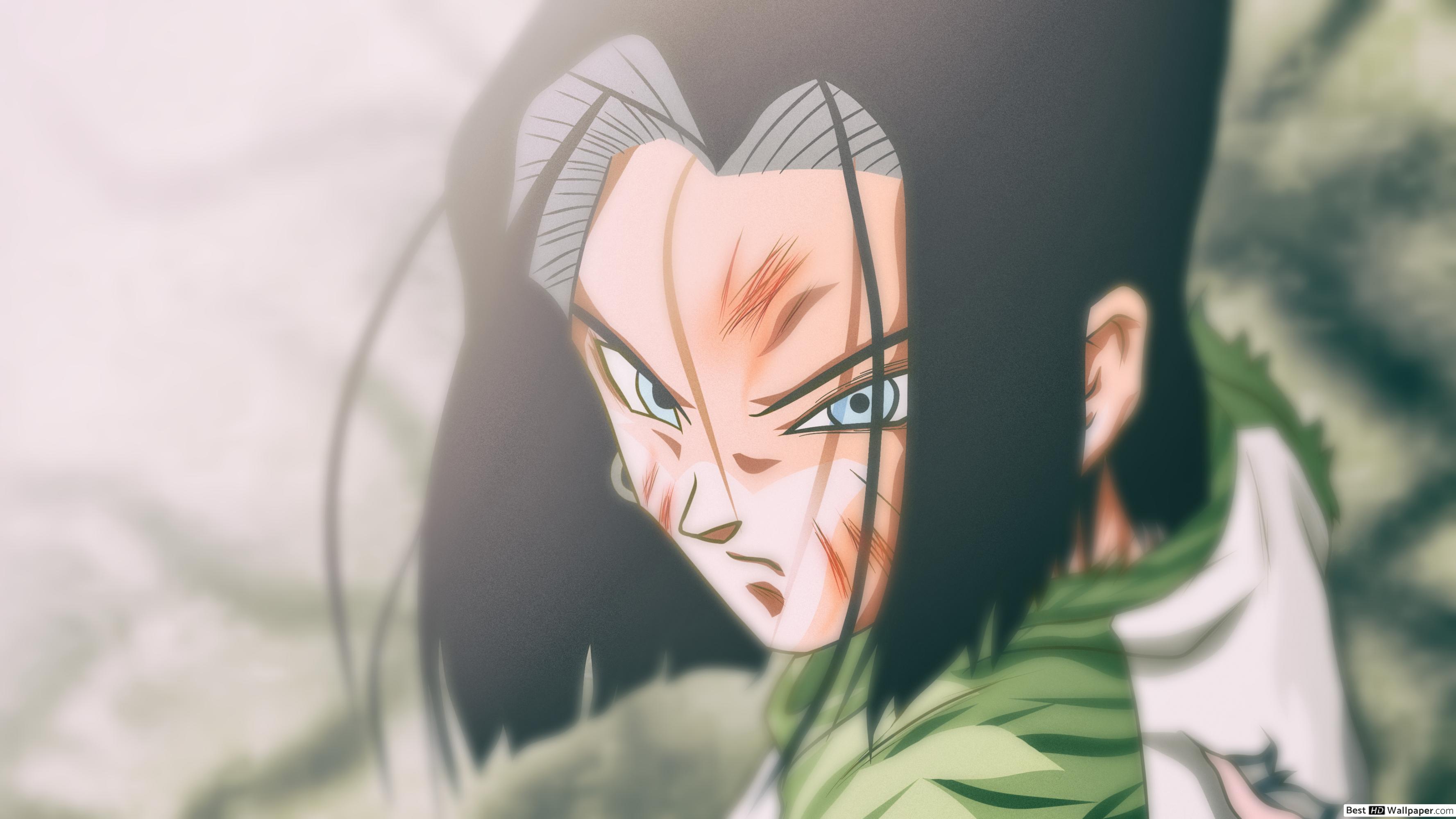 Android 17 - HD Wallpaper 