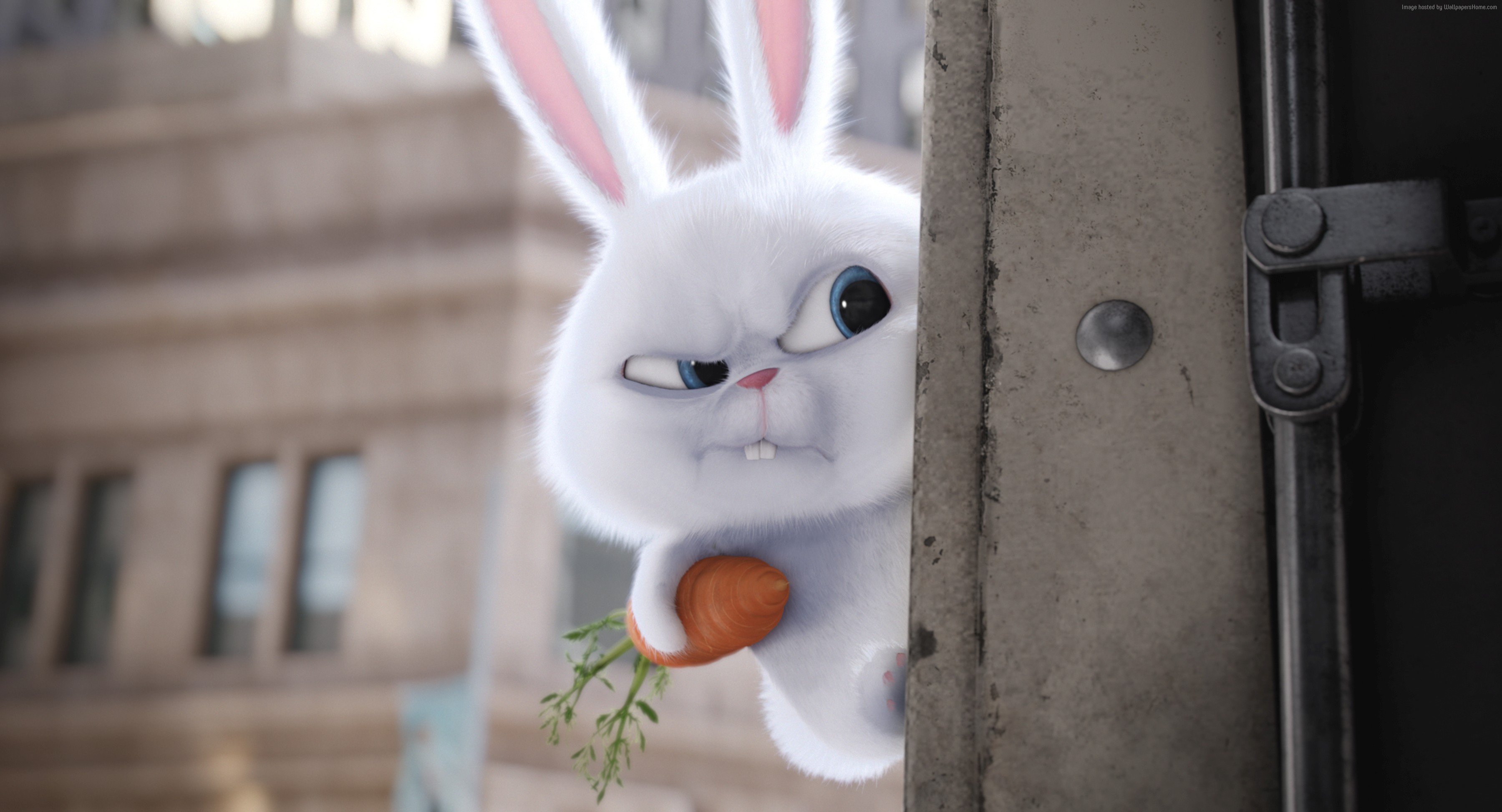 The Secret Life Of Pets, Rabbit, Best Animation Movies - Secret Life Of Pets Bunny - HD Wallpaper 
