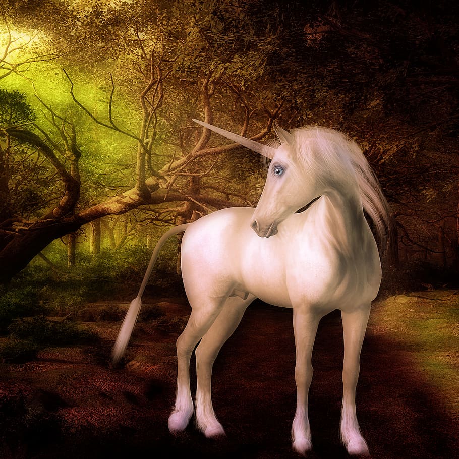 Unicorn, Fantasy, Creatures, Mane, White, Horn, Toon, - Unicorn - HD Wallpaper 