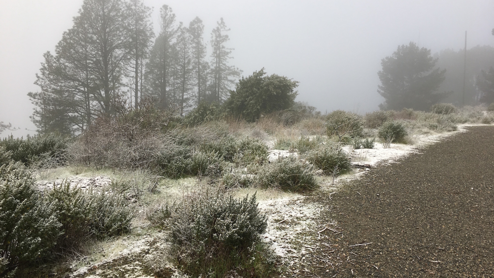 Tilden Regional Park Snow - HD Wallpaper 