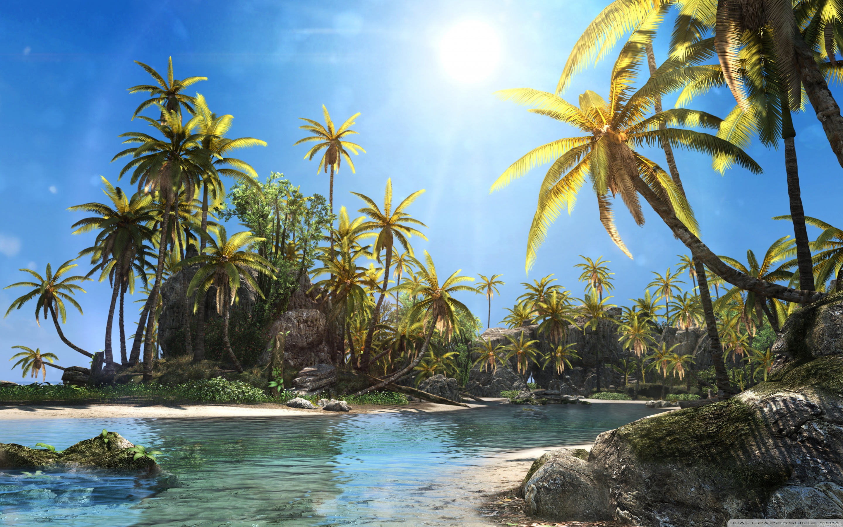 Assassin's Creed Black Flag Scenery - HD Wallpaper 