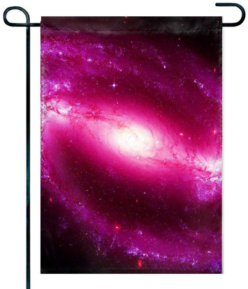 Dibujos De Perros Pitbull - HD Wallpaper 