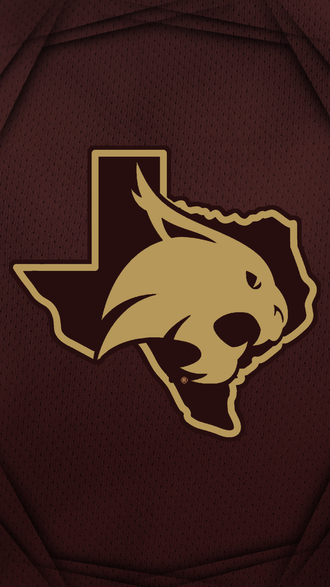 29573 
 Data Src State Of Texas Wallpaper For Phone - Texas State University Iphone - HD Wallpaper 