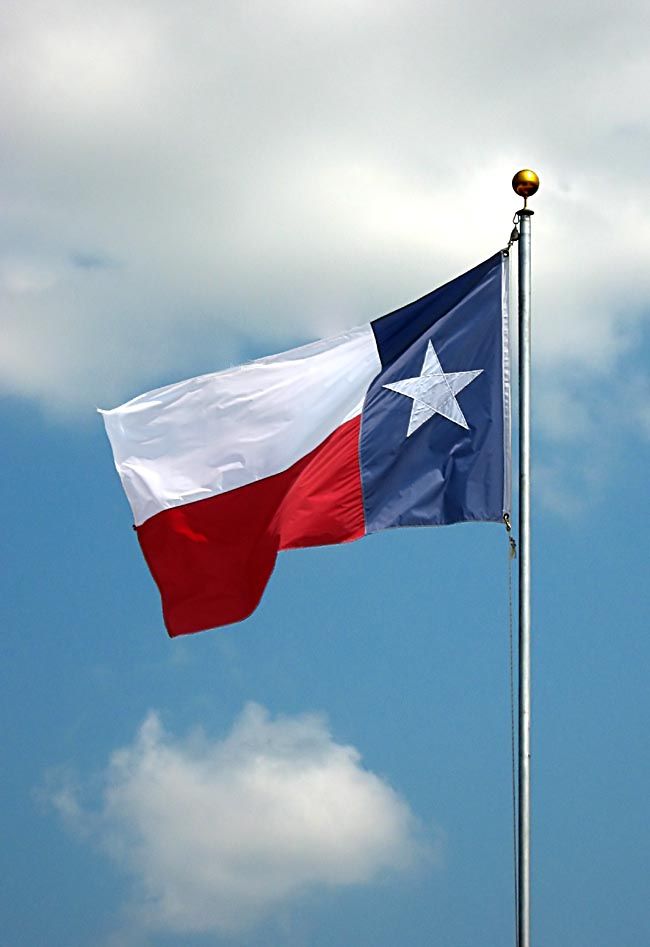 United States More Like Texas And Its 49 Bitches - HD Wallpaper 
