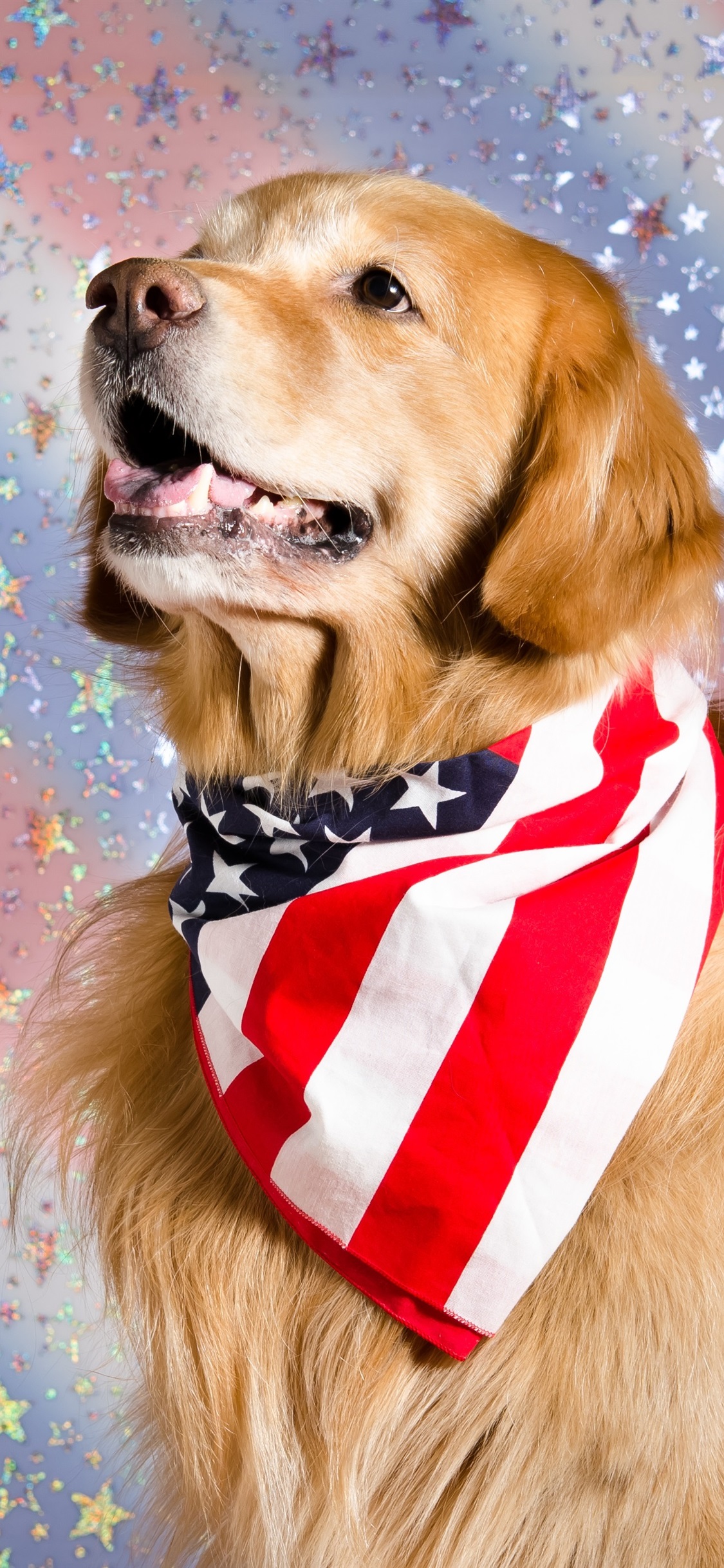 Iphone Wallpaper Cute Dog, Us Flag Scarf - Golden Retriever Z Apaszką - HD Wallpaper 