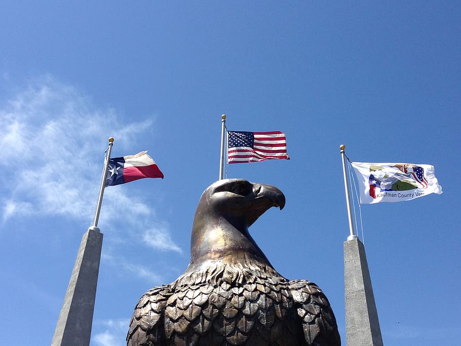 Eagle, Texas, Flags, America, Blue Sky, Sculpture, - HD Wallpaper 