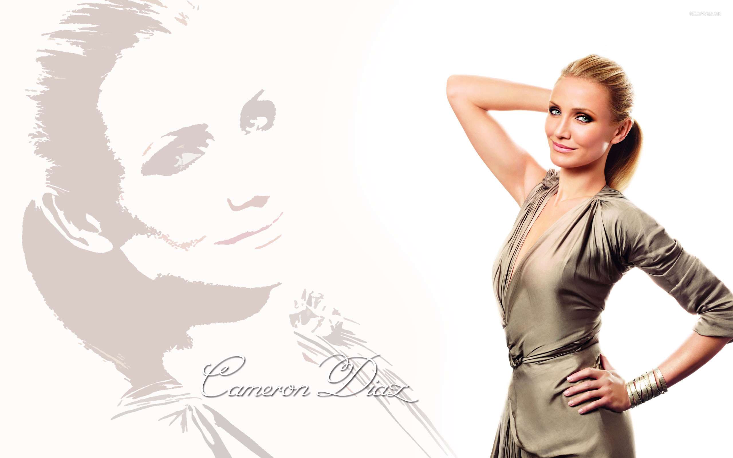 Cameron Diaz 1 Wallpapers - 2560x1600 Wallpaper - teahub.io