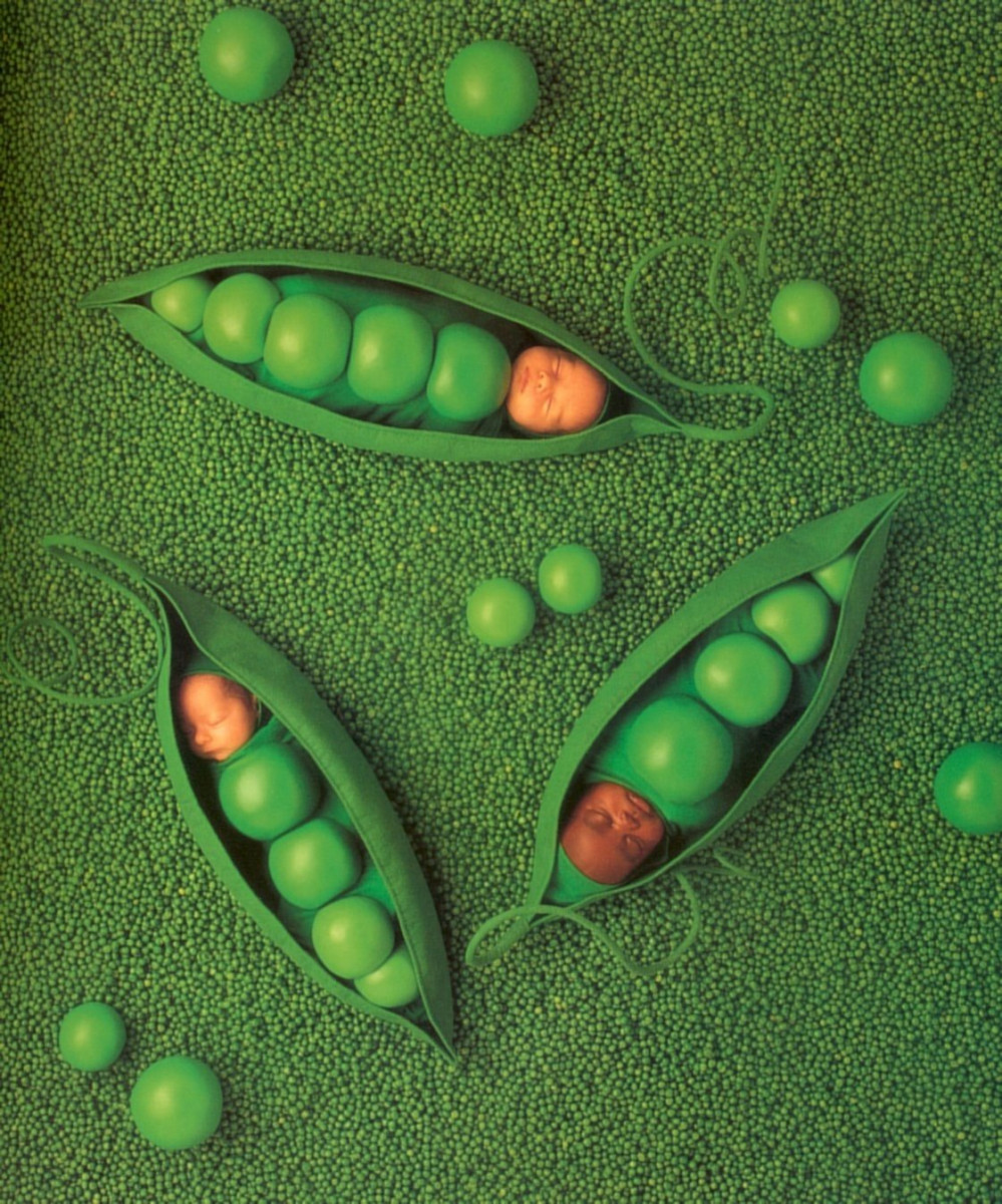 Pic - Anne Geddes Small World - HD Wallpaper 