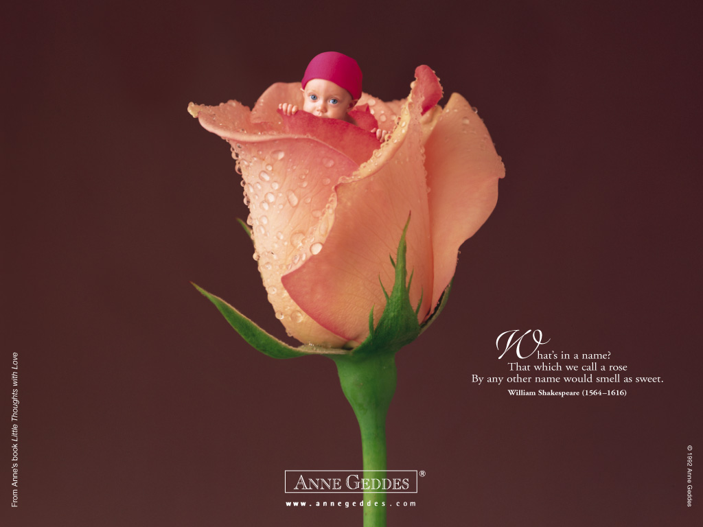 Anne Geddes Wallpaper 037 - Anne Geddes Valentine Baby - HD Wallpaper 