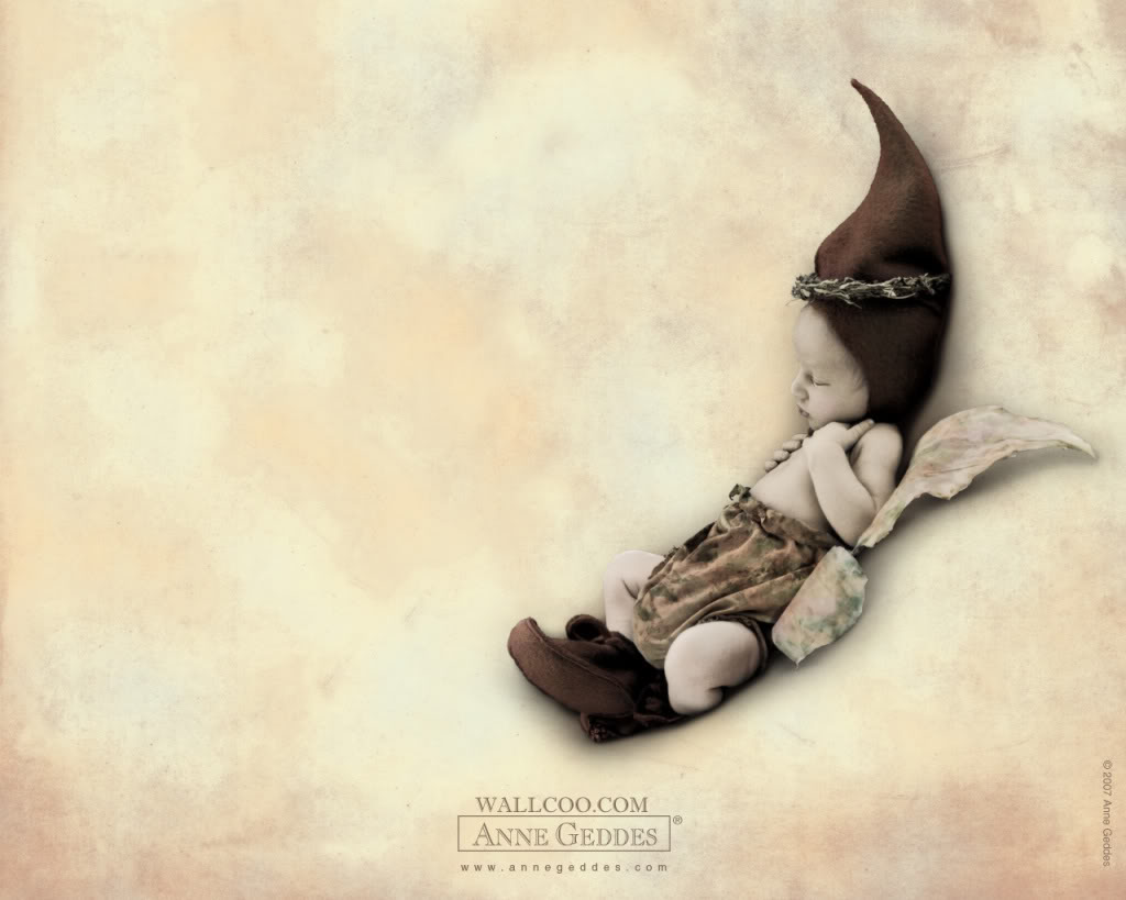 Anne Geddes Wallpaper 088 - Geddes Baby Wallpapers Anne Geddes - HD Wallpaper 