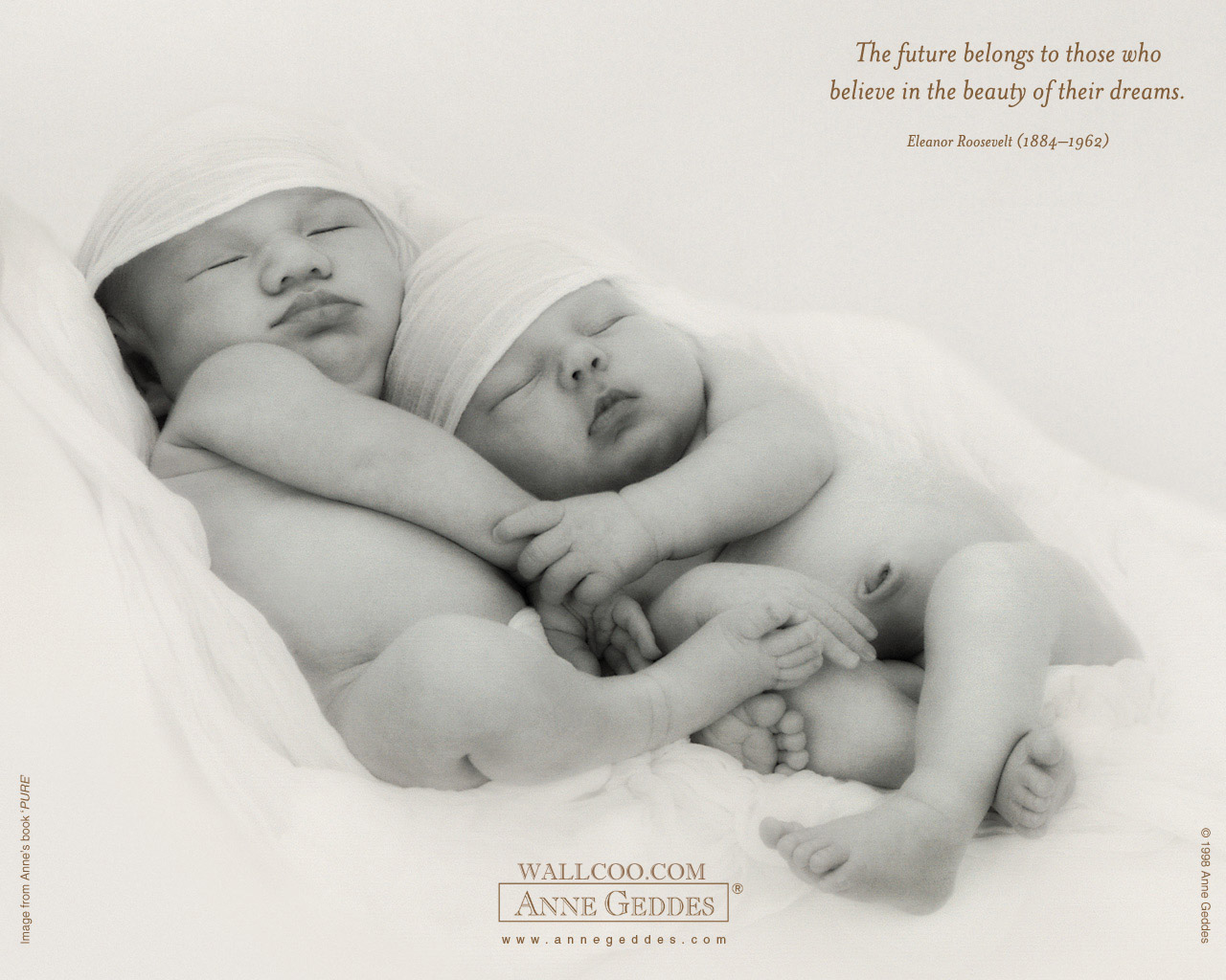 Anne Geddes Baby Photography , Newborn Baby Photography, - HD Wallpaper 
