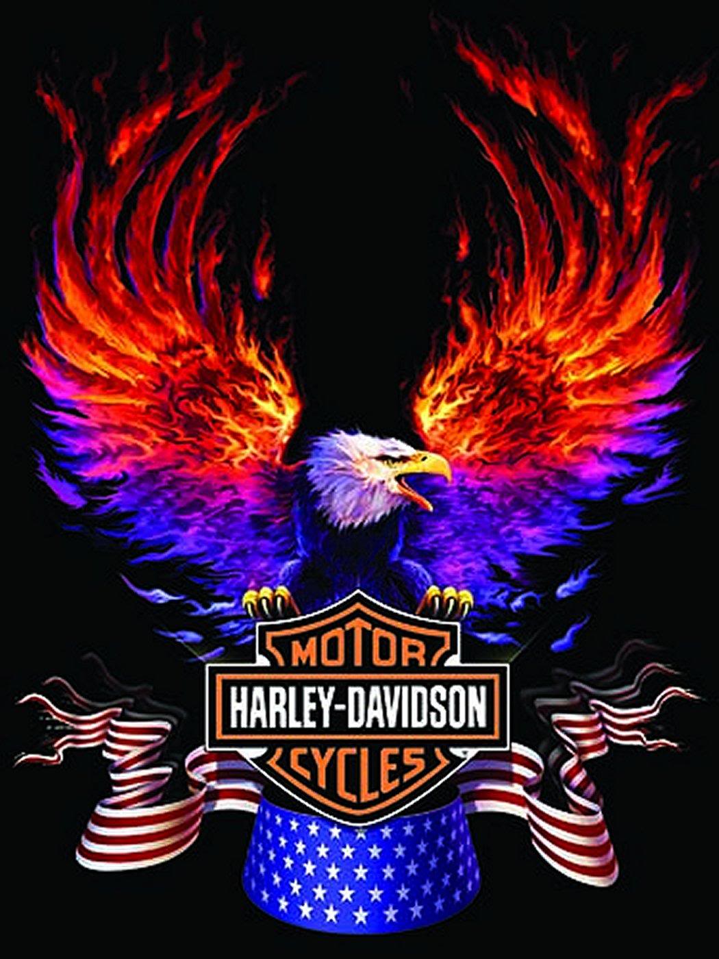 Harley Davidson Logo Wallpapers - Harley Davidson Tattoos Aguila - HD Wallpaper 