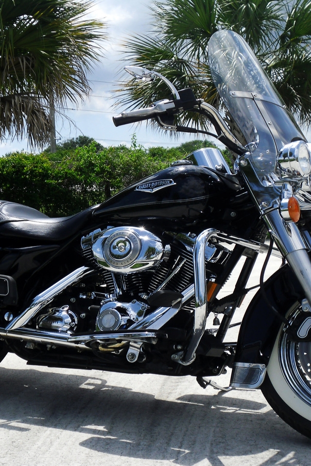 Black Harley Davidson Road King For 640 X 960 Iphone - Harley-davidson - HD Wallpaper 