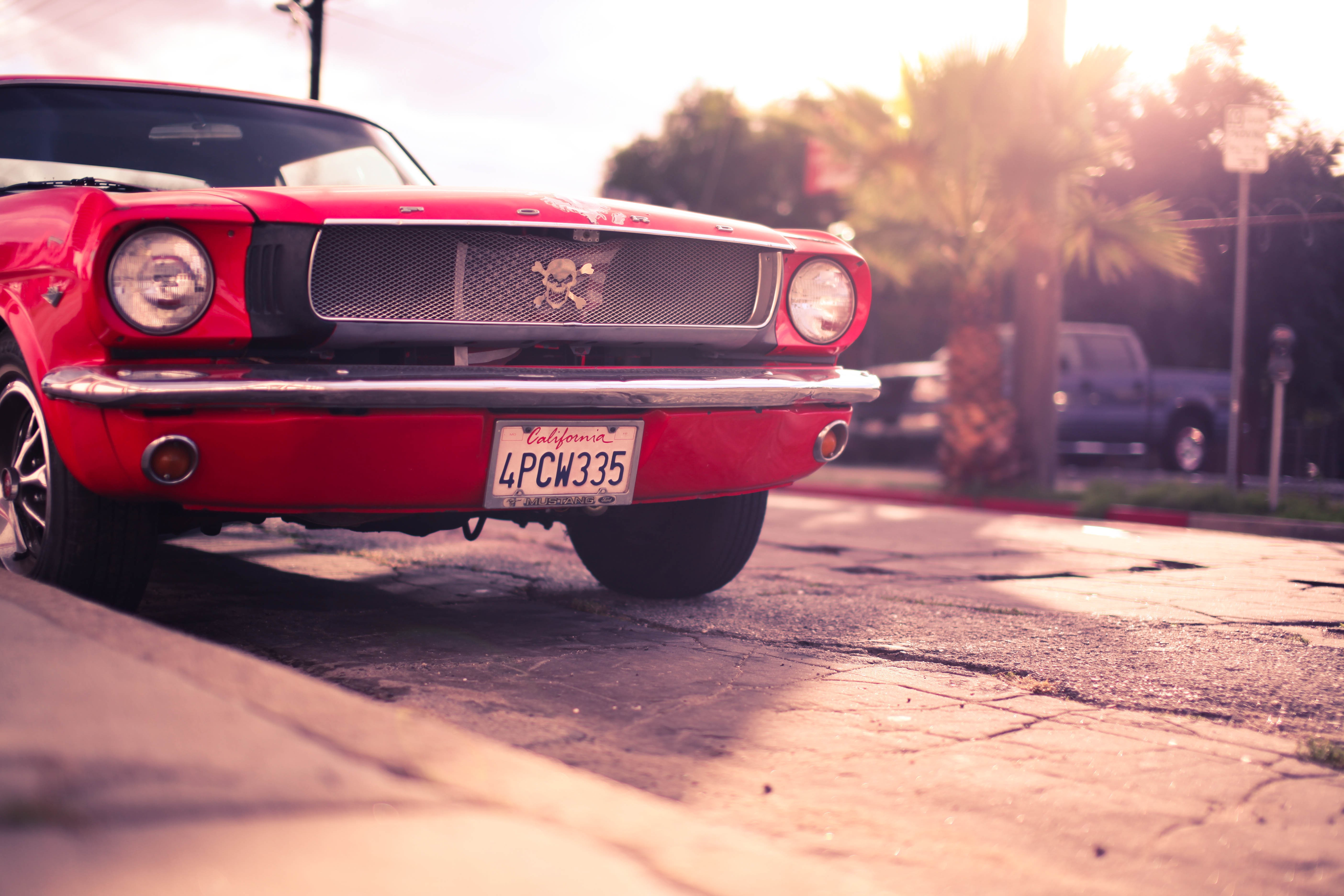 Wallpaper - HD Wallpaper 