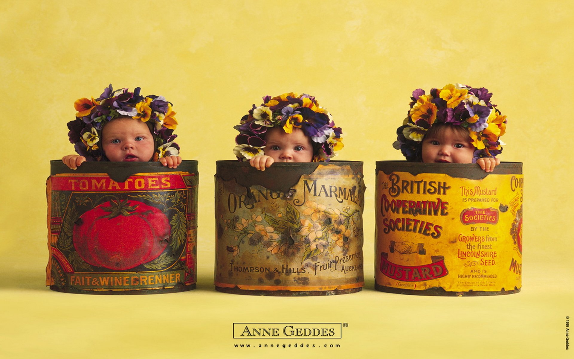 Anne Geddes Posters - HD Wallpaper 