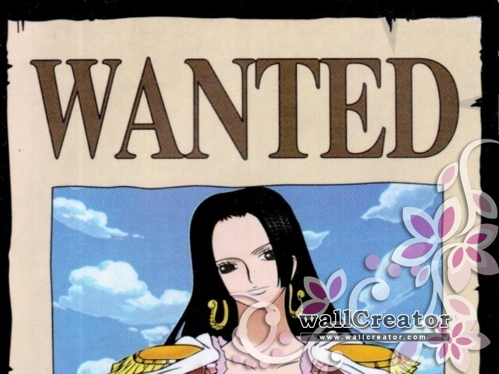 1024 / 768 Wallpaper - One Piece Mihawk Wanted Poster - HD Wallpaper 