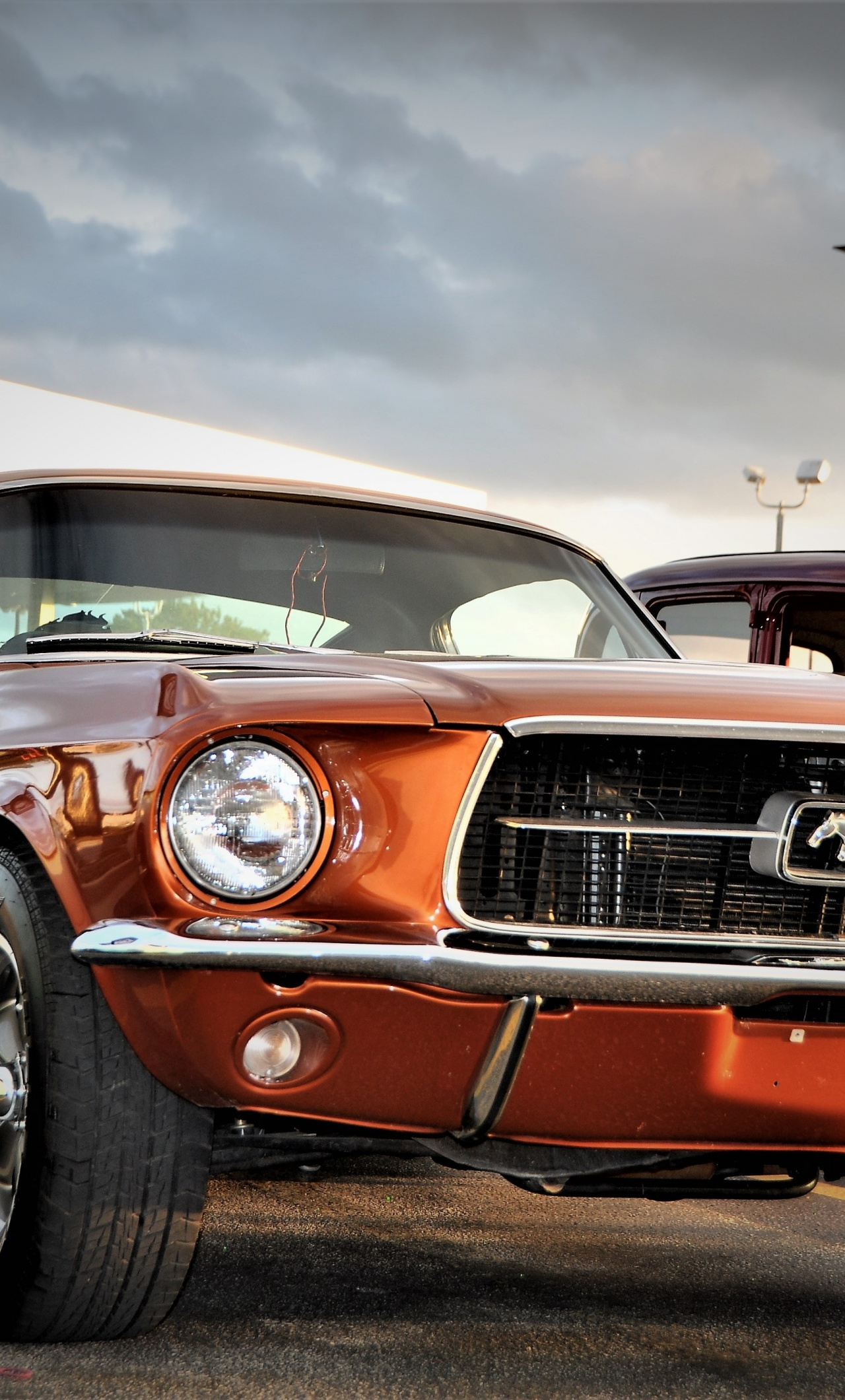 Front Ford Mustang Muscle Car Wallpaper Muscle Car Wallpaper Iphone 6 1280x2120 Wallpaper Teahub Io